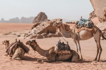 Desert & Forgotten Kingdoms