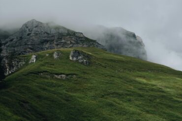 Highland Estates & Slow Living