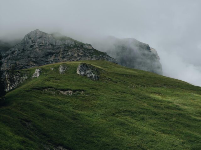 Tea, Rain and Time to Breathe
