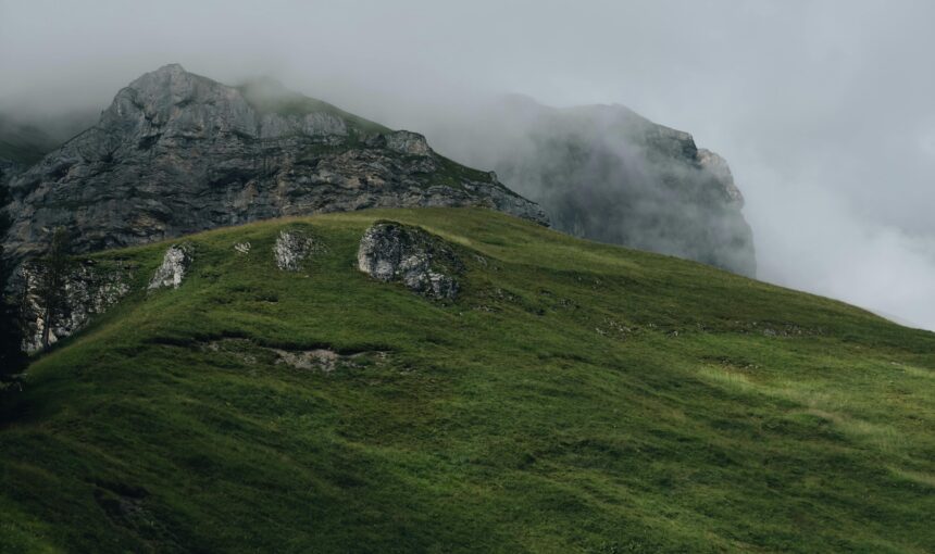 Tea, Rain and Time to Breathe