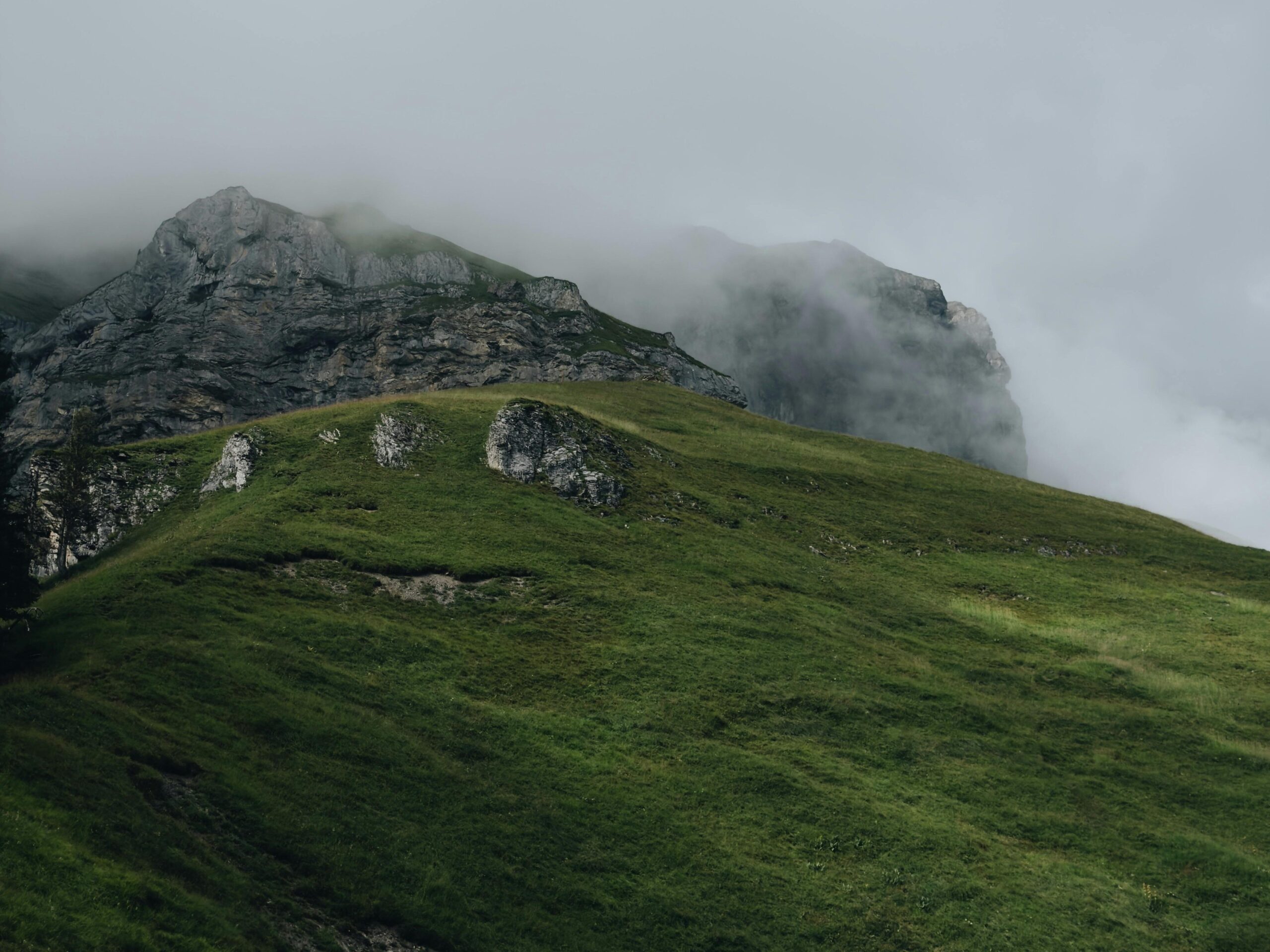 Highland Estates & Slow Living