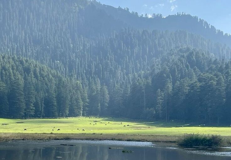 Khajjiar Travel Guide: How to Experience an Open Meadow Without Trying to Turn It Into a Stopover