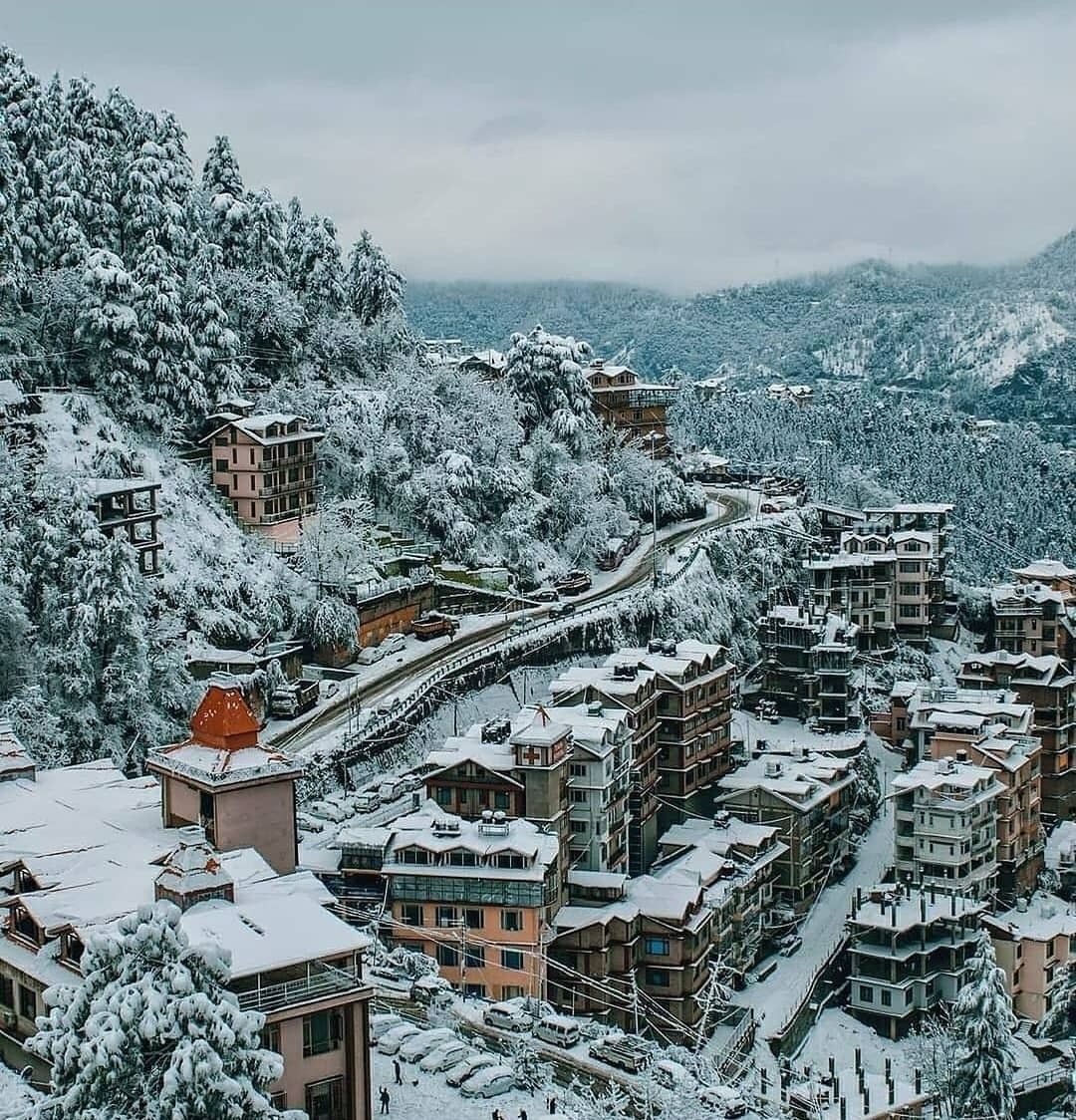 Shimla